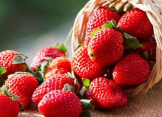 Un compuesto presente en la fresa podría prevenir el Alzheimer