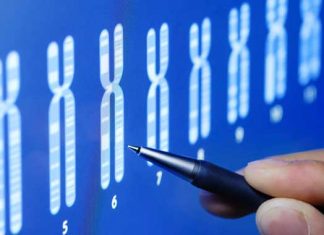 Científicos encuentran dos nuevos genes de riesgo para el Alzheimer