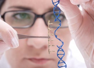 Diabetes: ¿la terapia genetica puede normalizar los niveles de glucosa en la sangre?