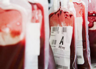 ¿Cuánta sangre hay en el cuerpo humano?