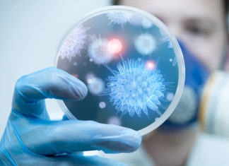 Cáncer: ¿estamos cerca de una cura?