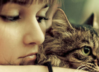 ¿Puedes vivir con un gato si tienes alergias?