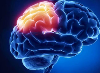 Estimular eléctricamente el cerebro puede restaurar el movimiento después del accidente cerebrovascular