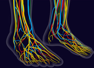 Posible tratamiento para la enfermedad de Charcot-Marie-Tooth
