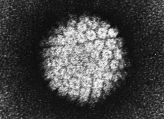 Vacuna contra el VPH es efectiva en mujeres hasta los 20 años