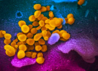Alemania pruebas clínicas sobre la vacuna contra el COVID-19