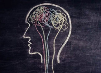 Descubrimiento de una proteína esencial que controla el desarrollo y las funciones de los vasos sanguíneos del cerebro.